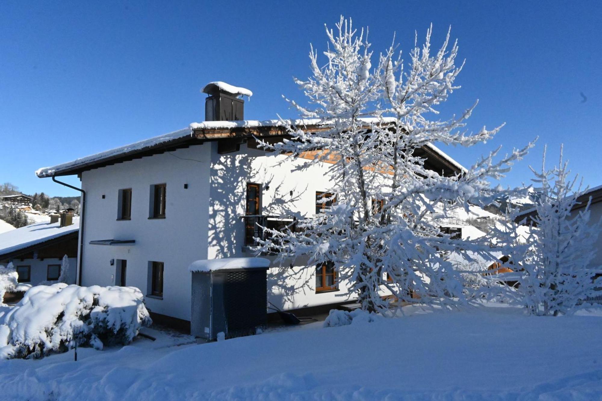 Nicky Apartments And Studios Niederau Buitenkant foto
